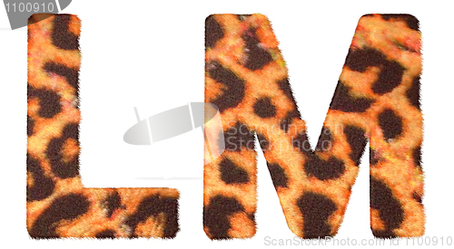 Image of Leopard fur L and M letters isolated 