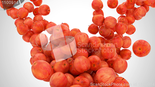 Image of Large group of Ripe apples