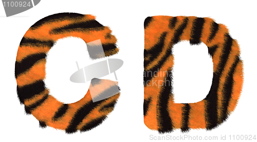 Image of Tiger fell C and D letters isolated