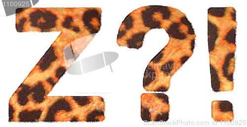 Image of Leopard fur font Z and Wow, What symbols 