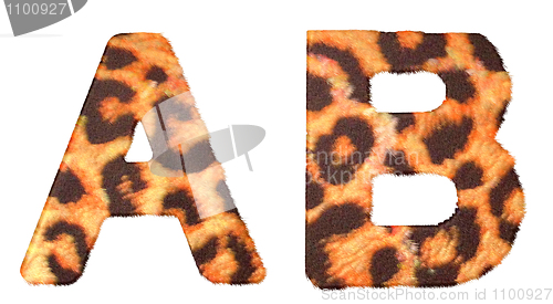 Image of Leopard fur A and B letters isolated