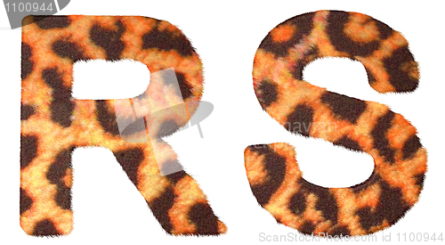 Image of Leopard fur R and S letters isolated