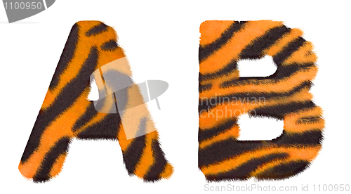 Image of Tiger fell A and B letters isolated