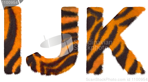 Image of Tiger fell I J and K letters isolated