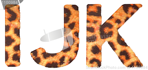 Image of Leopard fur I J and K letters isolated