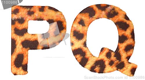 Image of Leopard fur P and Q letters isolated