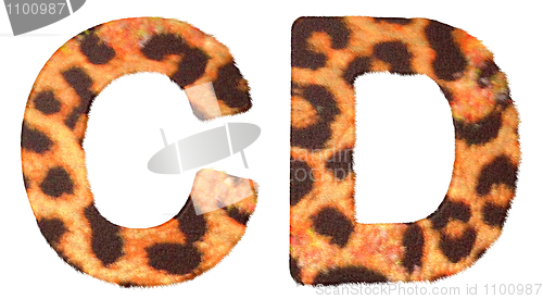 Image of Leopard fur C and D letters isolated