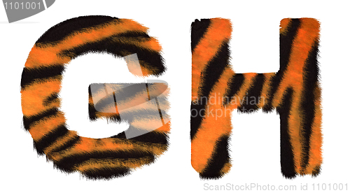 Image of Tiger fell G and H letters isolated