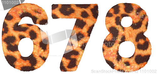 Image of Leopard skin 6 7 and 8 figures isolated