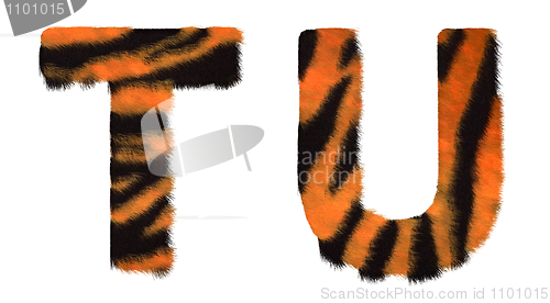 Image of Tiger fell T and U letters isolated