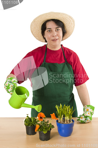 Image of Gardener