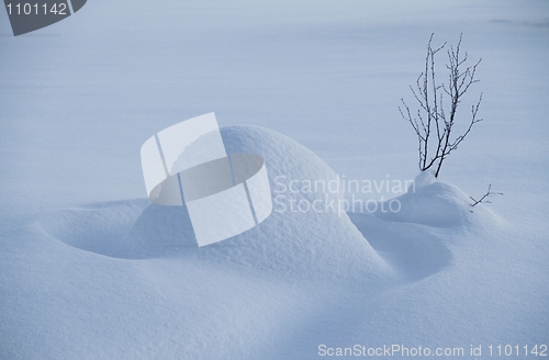 Image of New snow