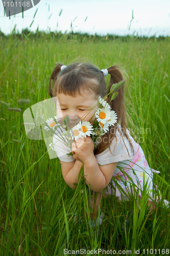 Image of Little girl embraces flowers - chamomiles