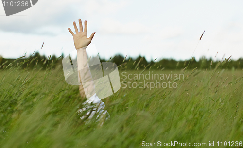 Image of Hand sticks out of high grass