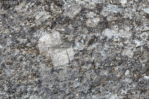 Image of Texture - surface of rocks covered with lichen