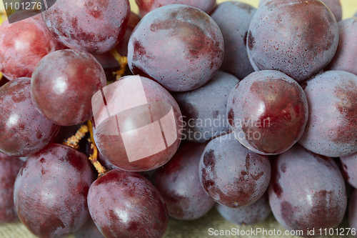 Image of Red ripe grapes close up