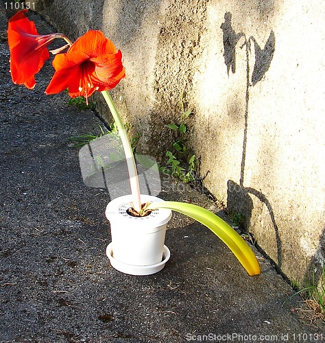 Image of shadows