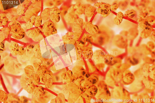 Image of Fantastic abstract organic background