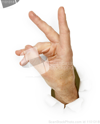 Image of Hand imitates rabbit on a white background