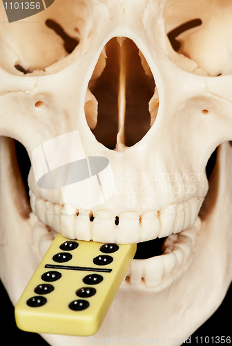 Image of Human skull and dominoes