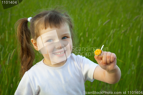 Image of Little girl has torn off at chamomile all petals except one