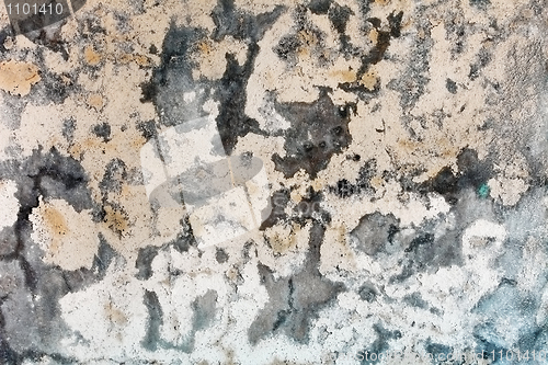 Image of Mold stains on humid plaster