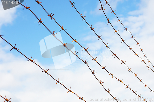 Image of Rusty barbed wire