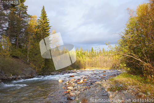 Image of Beautiful autumn northern landscape - forest and river