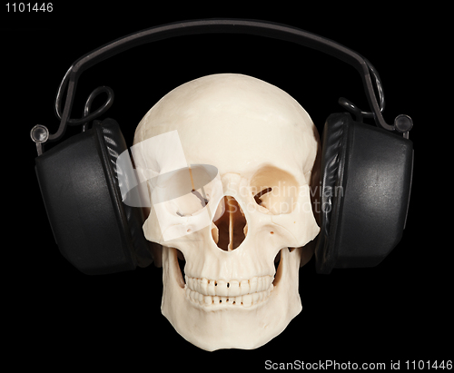 Image of Human skull with stereo headphones on black