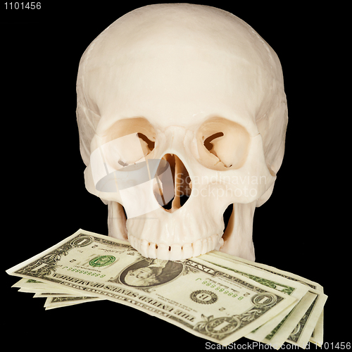 Image of Skull clutched in teeth bunch of money