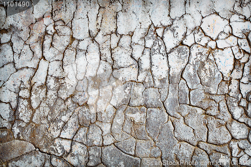 Image of Cracks