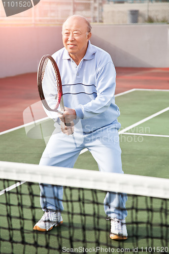 Image of Senior tennis player