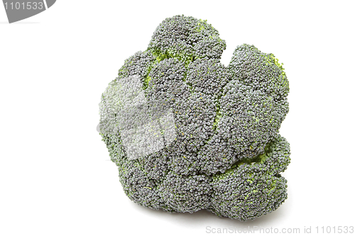 Image of Broccoli