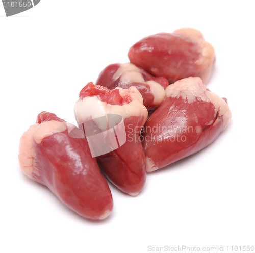 Image of bird hearts