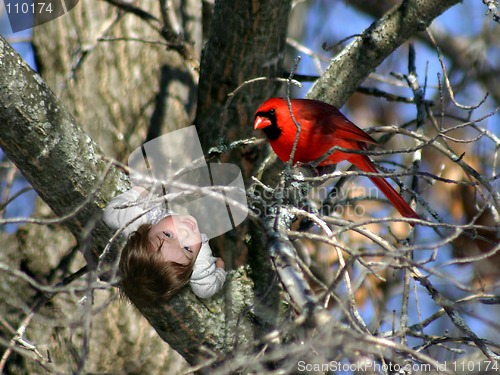 Image of Watching the Birds