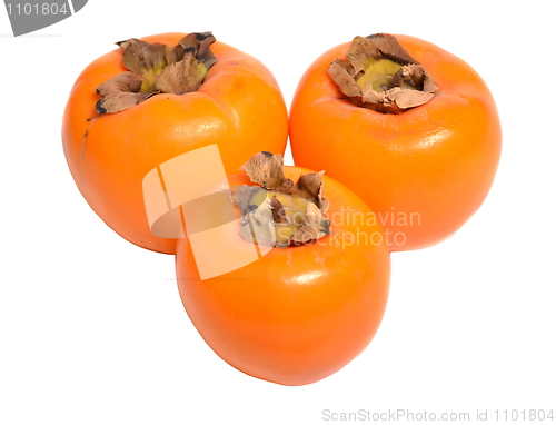 Image of Three ripe persimmons on a white background
