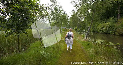 Image of Nature walk Denmark