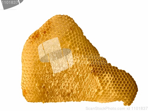 Image of Honeycomb with honey isolated