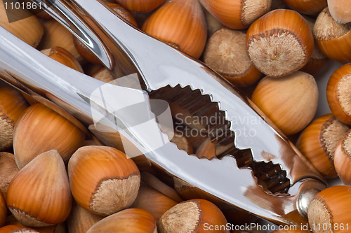 Image of Hazelnuts and cracker