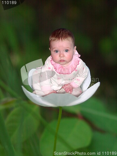 Image of Flower seat