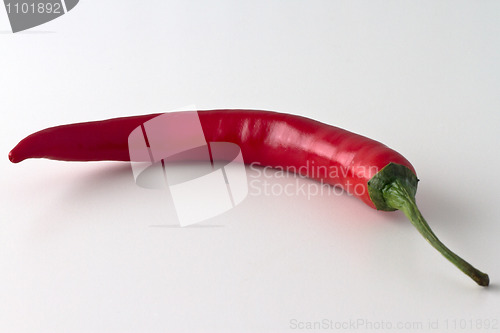 Image of Red hot chili pepper