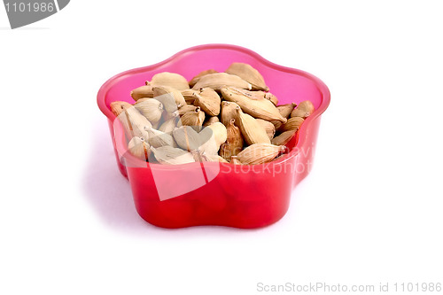 Image of A red bowl with Cardamom isolated on white background