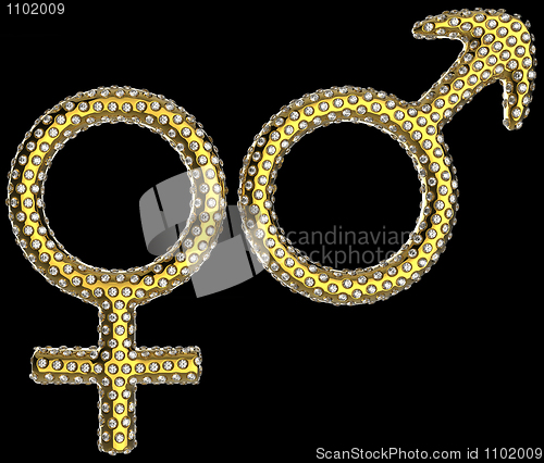 Image of Luxury gender symbols inlaid with gems