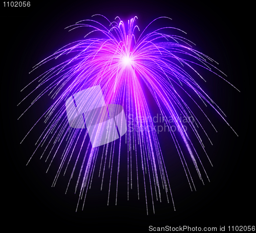 Image of Purple Festive fireworks 