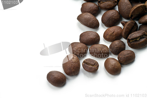 Image of Coffee beans