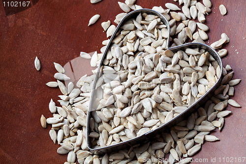 Image of Sunflower seeds