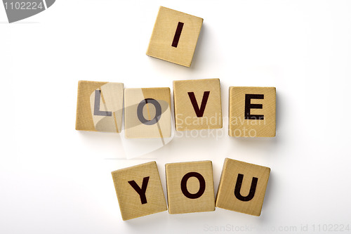 Image of I Love You Magnets