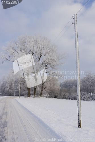 Image of Winter landscape