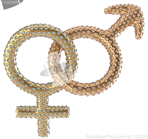 Image of Female and male gender symbols with gems 