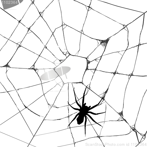 Image of Grunge web spider 